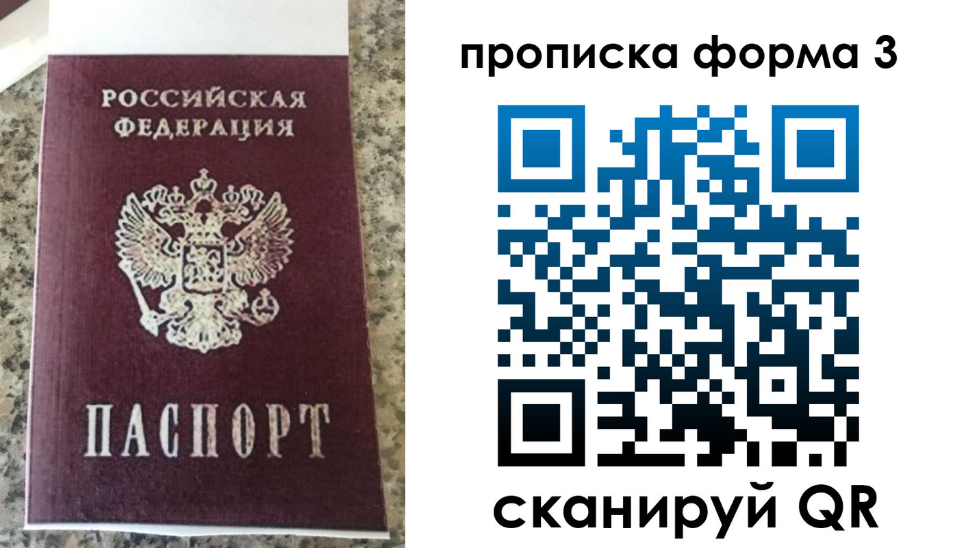 прописка штамп в Лузе